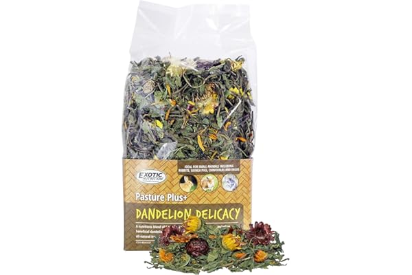 Exotic Nutrition Pasture Plus+ Dandelion Delicacy - Healthy Natural High-Fiber Dried Flower Treat - Guinea Pigs, Rabbits, Chinchillas, Prairie Dogs, Degus, Hamsters, Gerbils & Other Small Pets