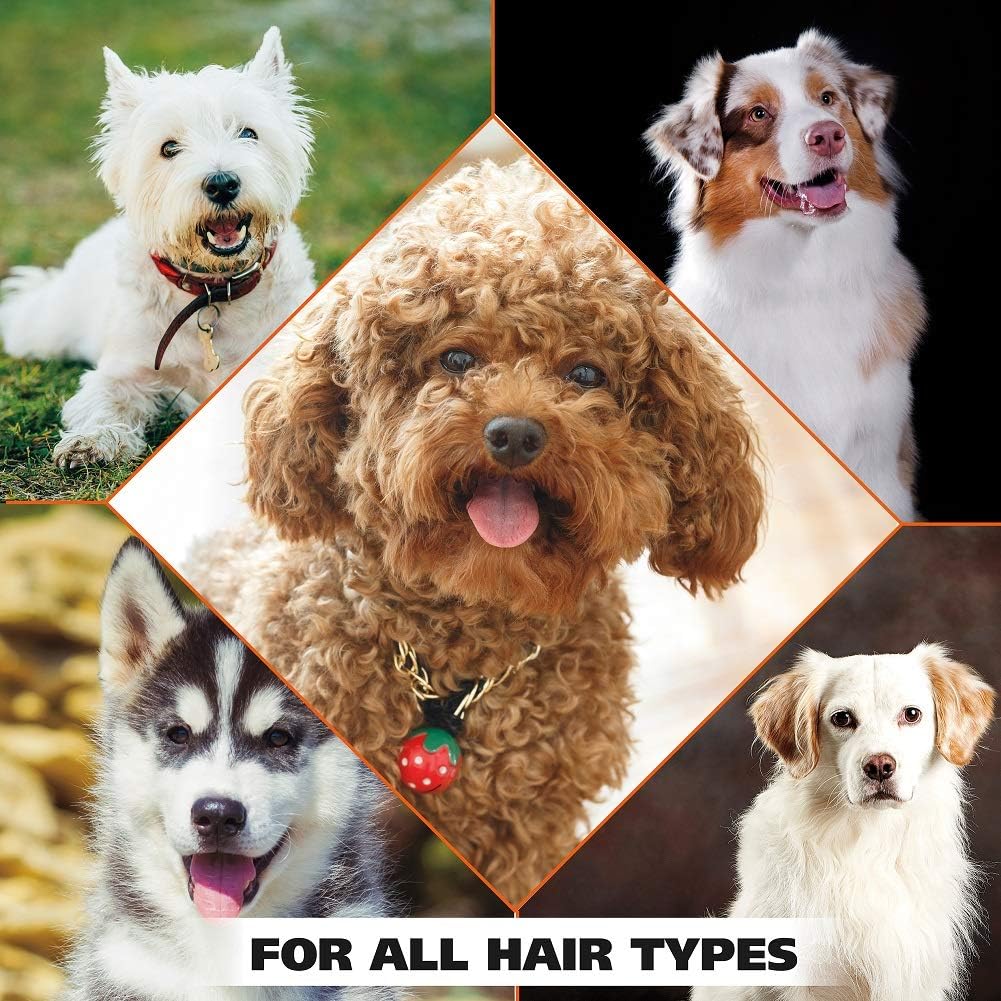 Pet Shampoos : Wahl Dry Skin & Itch Relief Pet Shampoo for Dogs – Oatmeal Formula with Coconut Lime Verbena & 100% Natural Ingredients – 24 Oz