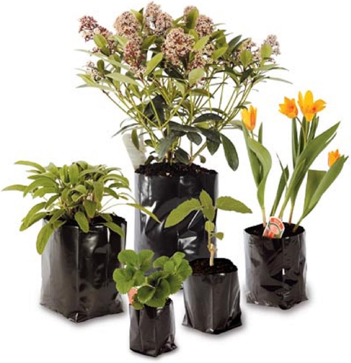 100 x 1.5-litre Polypots