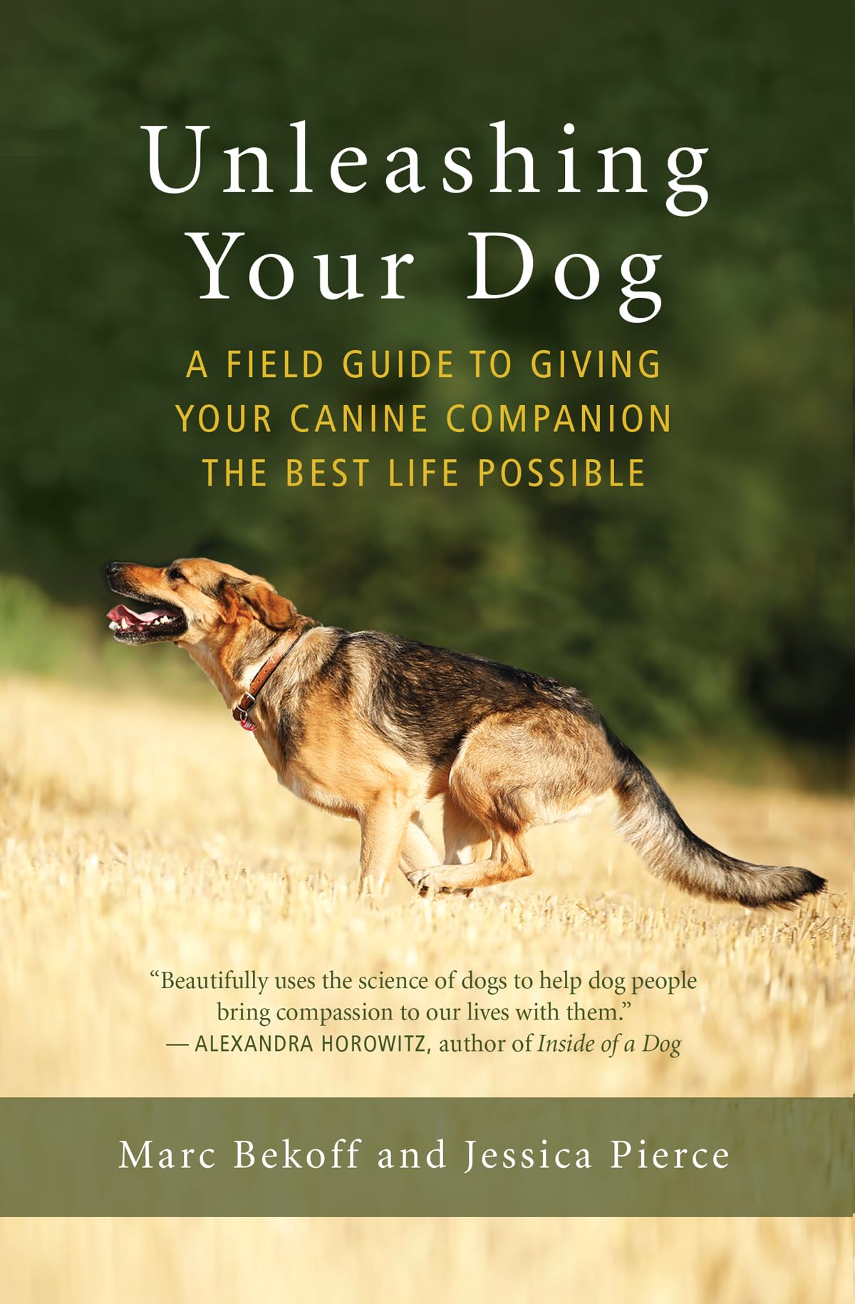 Unleashing Your Dog: A Field Guide to Freedom