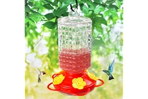 JALAMWANG Glass Hummingbird Feeders for Outdoors Hanging 15 oz Sealed and Leak- Proof Easy to Clean and Fill Containing Ant Moat, for Attract Hummingbird (Hexagon Pack of 1, Clear)