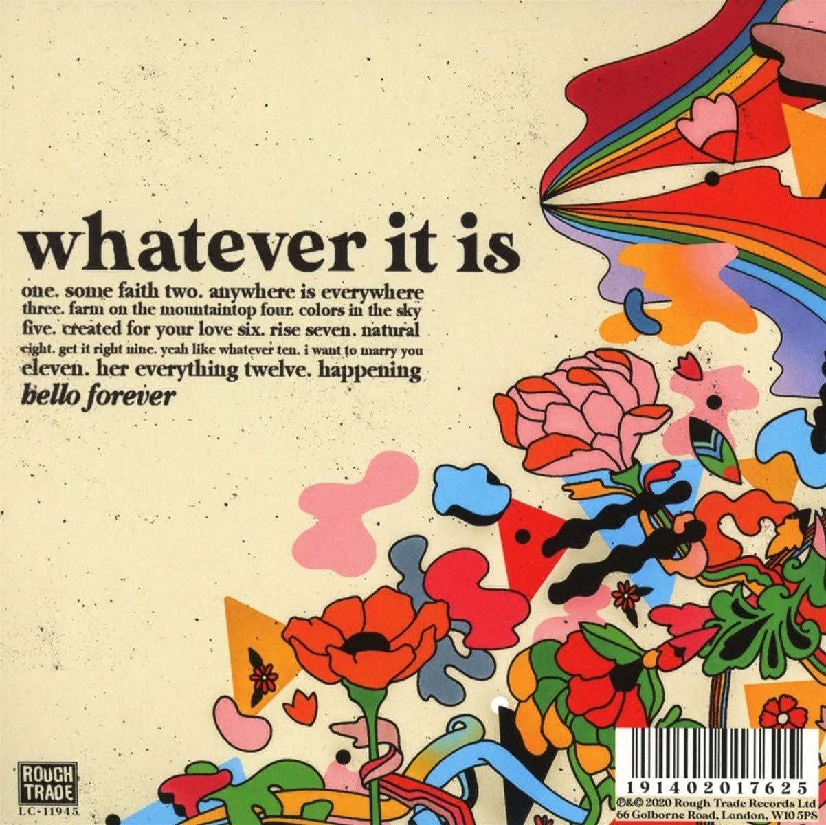 Whatever It Is - Image 3