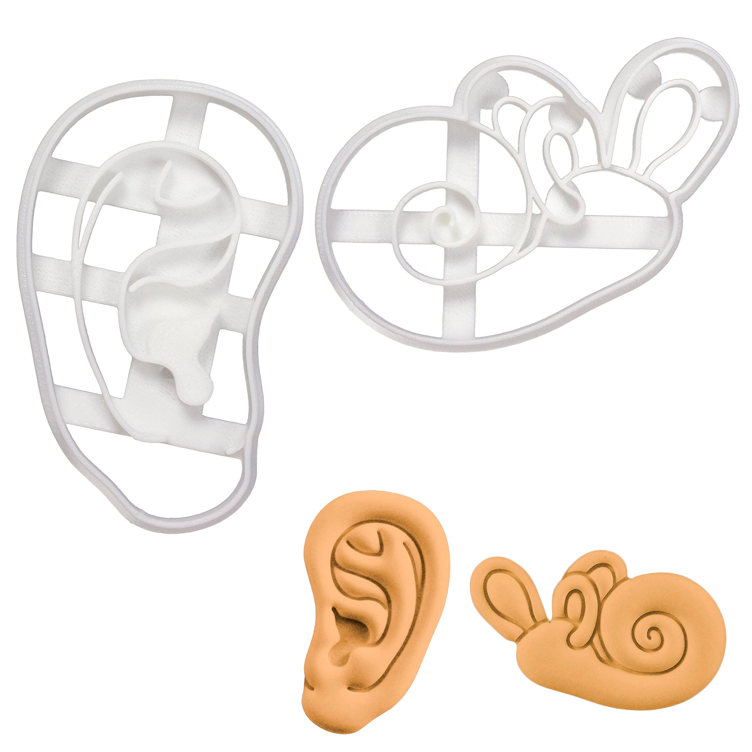 BAKERLOGY Set of 2 Ear Cookie Cutters (Designs: Anatomical Human Ear and Cochlea Inner Ear) - Detailed Biscuit Cutter Design for Baking and Crafts, Ideal on Fondant, Dough, Clay