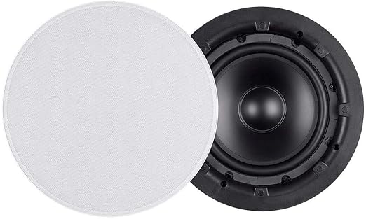 monoprice 10 inch subwoofer