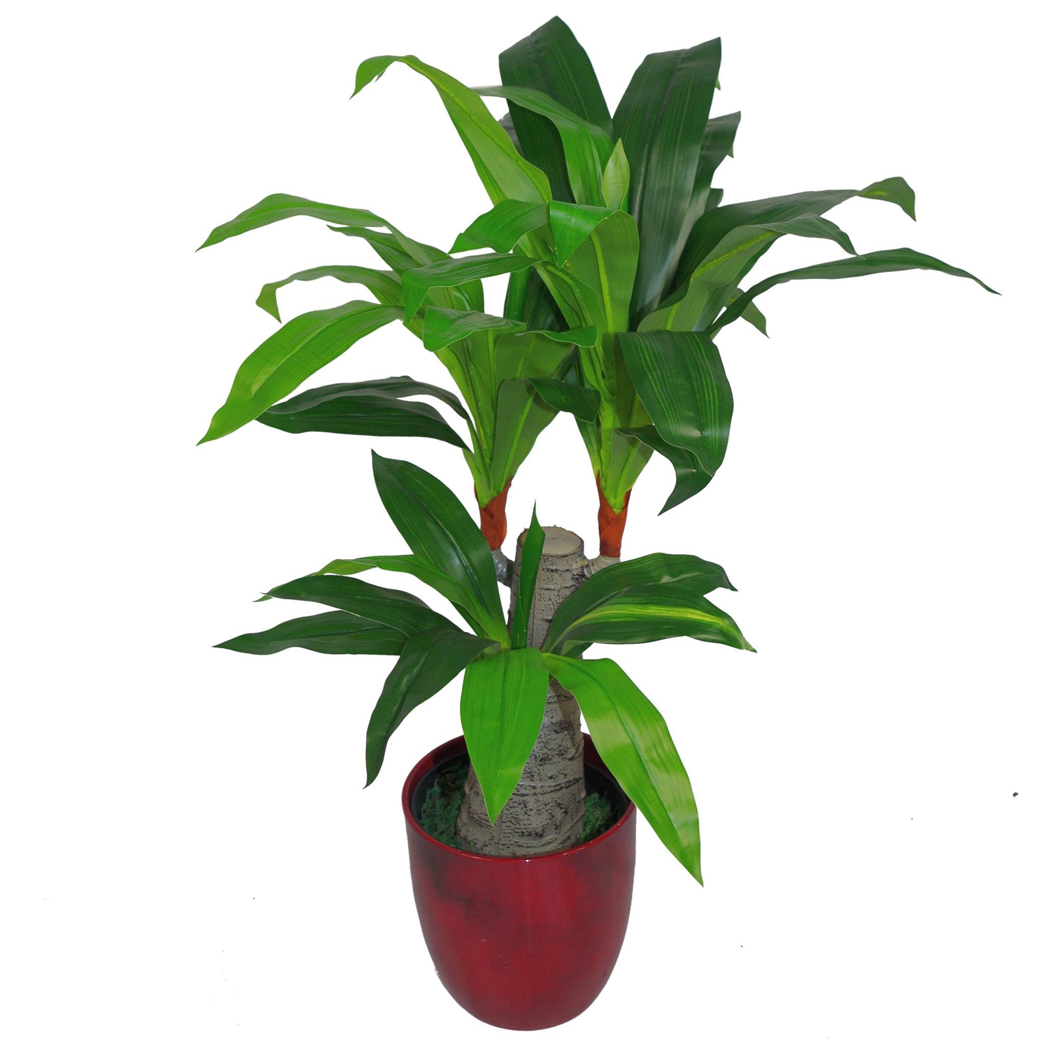 Leaf Design Tropical Artificial Plants, 75cm Spiky Tropical, 75cm