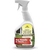 Neudorff Fiesta Weed Killer for Lawns See Results in Hours 32 OZ | Turf Weed Killer Controls Dandelion. Contains Iron, A Plant Nutrient, People &amp; Pets Can Enter Treated Area When Spray Dries.