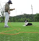 Taglory Training Lead for Dogs 20 m Reflective Long Rope Lead with Padded Handle view 7
