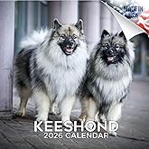 Keeshond Calendar 2026 by MegaCalendars – Monthly Dog Breed Wall Calendar, Made in USA