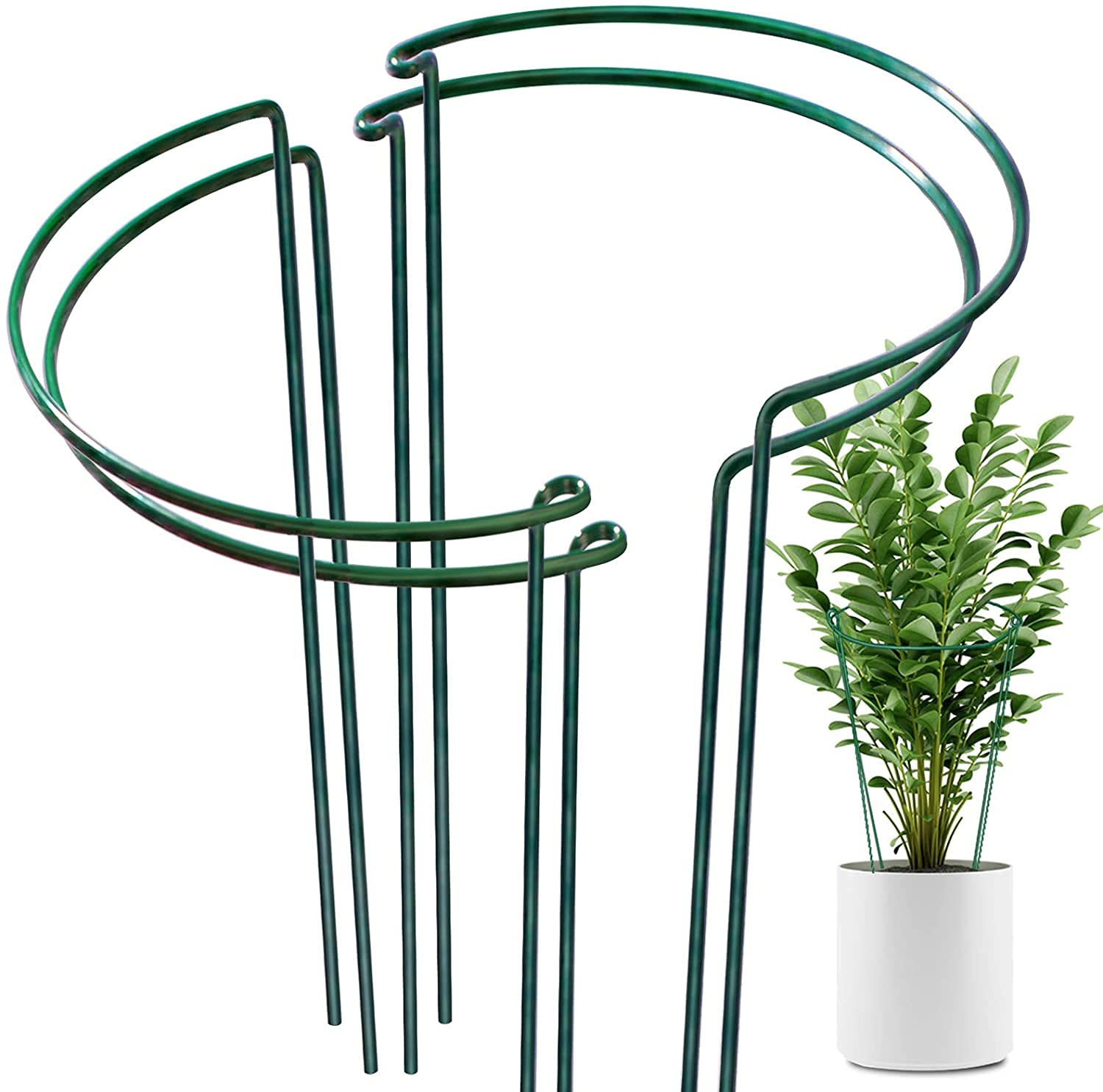 OAHAO 4 Pack Plant Support Stakes Ring Cage,Metal Half Round Plant Ring 21×35cm Large Peony Cages and Supports for Outdoor Plants, Tomato,Vegetable, Hydrangea,Rose,Flowers Vine