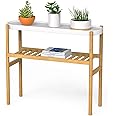 Wisuce Bamboo Shelf Indoor, 2 Tier Window Tall Stand Table for Multiple Plants…