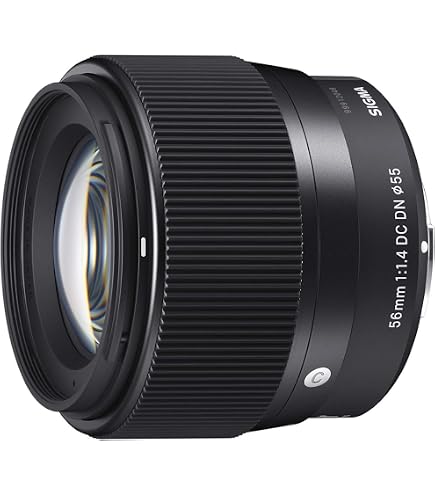 Amazon.com : Sigma 56mm for E-Mount (Sony) Fixed Prime Camera Lens