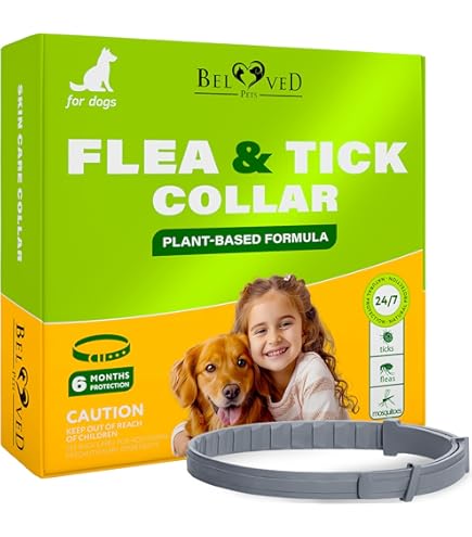 Best Natural Tick Collar for Dogs: Top Safe & Effective Picks