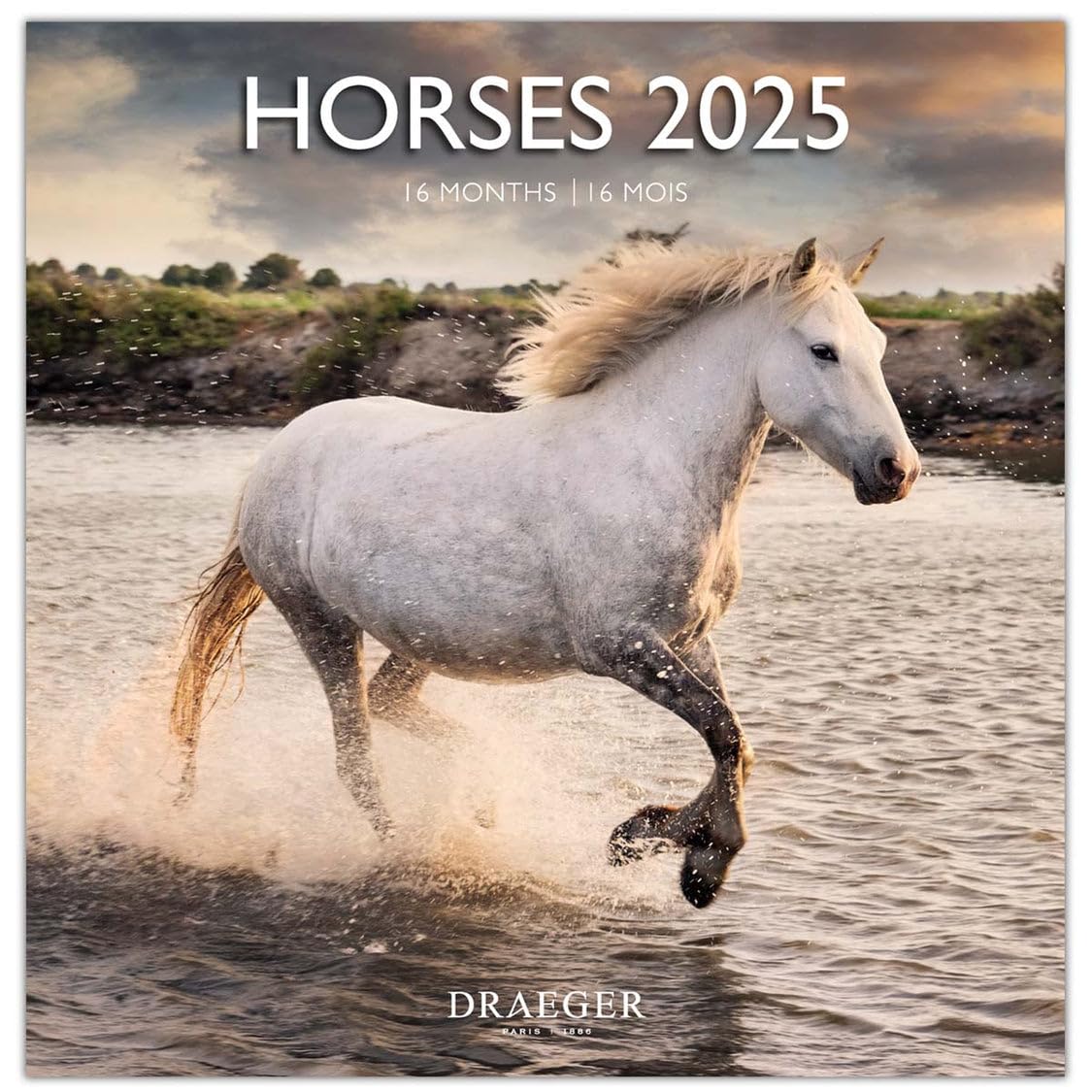 DRAEGER PARIS 1886 - Large Wall Calendar 2025-29x29cm - September 2024 to December 2025-12 Themes and Photographs - 7 Languages - FSC Eco Paper - Sustainable Aesthetic Design