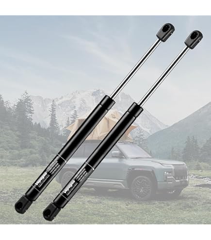 Amazon.com: Euplokeer Qty (2) C16-04464a 752762 13in 30lb/133N Gas