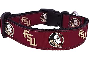 ALL STAR DOGS NCAA Florida State Seminoles Dog Collar (Team Color, Large)