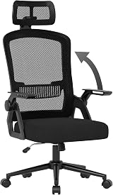 nasPaluro Ergonomic Office Chair with Headrest, Height Adjustable, Mesh Back
