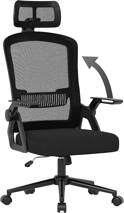 nasPaluro Ergonomic Office Chair with Headrest, Height Adjustable, Mesh Back