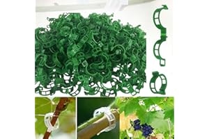 FAUPPT 100PCS Plant Support Clips Green,Plant Clips for Climbing Plants Clear Plant Clips,Garden Clips Plant Support Clips Plant Clips Plant Support Garden Clips Vine Fixing Clip for Plants(Green)