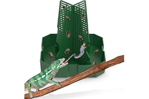 Fischuel Chameleon Feeding Bowl for Reptile Terrarium, Climbable Design for Reptile to Hunt, Suitable for Feeding Lizards, Bearded Dragons, Geckos, Guardians, Frogs, Green, Large