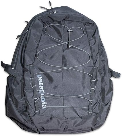 patagonia computer backpack