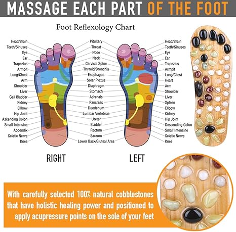 Download Foot Reflexology Massage Chart Pics