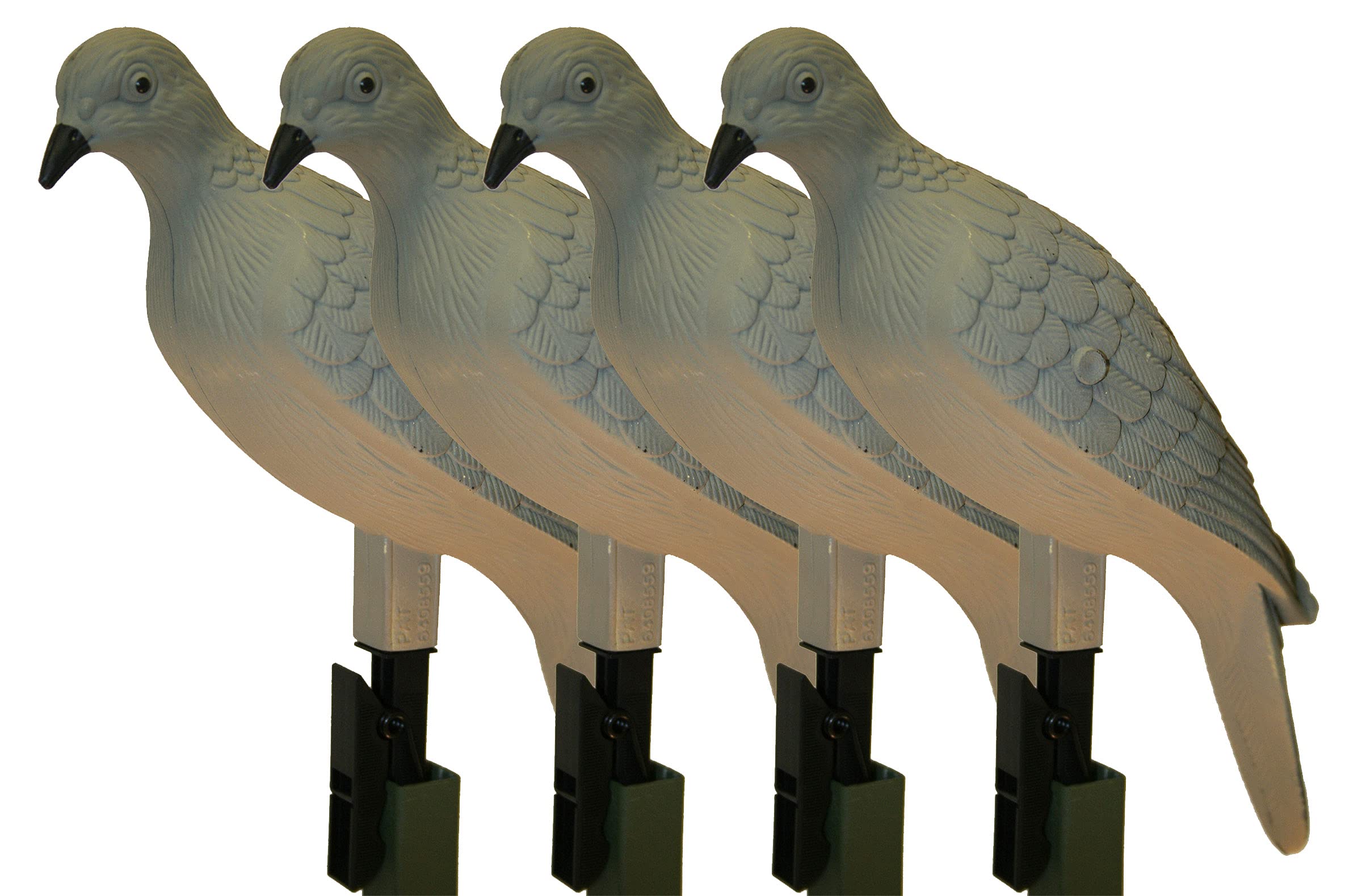 MOJO Outdoors 4-Pack Realistic Dove Decoys with Clip-On Mount – Hard Body Design for Dove Hunting – Fits Branches and Poles