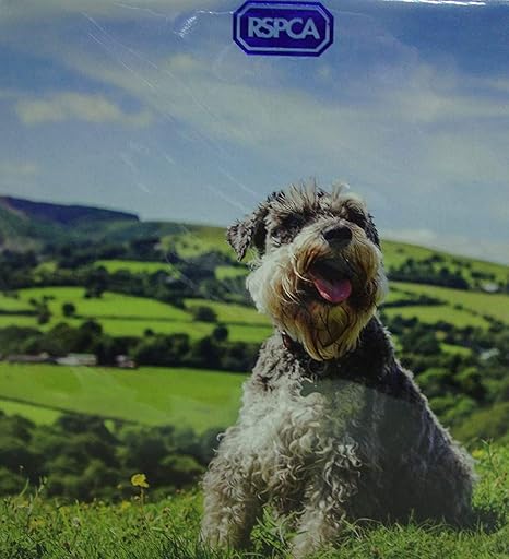 hill's prescription diet canine