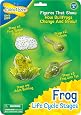 Insect Lore Frosch-Lebenszyklus – 4-teilige Spielfiguren (Laich, Kaulquappe, Froschlurch, Frosch)