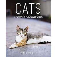 Fat Cat』 『Anatomy』各4枚セット村上フラワーズサンフランシスコ