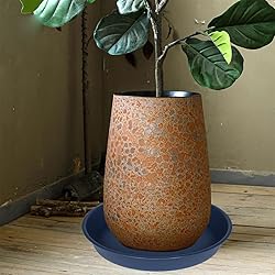 Bleuhome 2 Pack of 16 17 inch Plant Saucer
