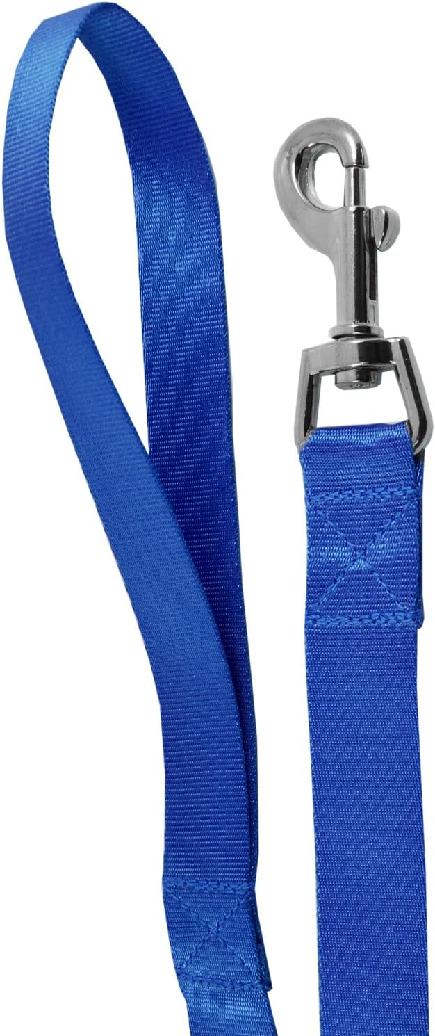 AKORD Strong Nylon Dog Pet Lead Leash, Blue, Clip for Collar Harness