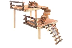 HOSUKKO Hamster Climbing Toys Wooden Two-Tier Hamster Playground Activity Platform with Bridge Apple Wood Chewing Toys for Small Pets (Large)