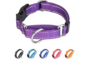 BXPAW Martingale Collar for Dogs,Reflective Martingale Dog Collars with Quick Release Buckle,Adjustable Nylon No Pull Dog Collar for Walking Training(Purple, Extra Large)