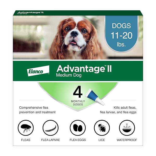 ADVANTAGE II MEDIUM DOG VET-RECOMMENDED FLEA TREATMENT & PREVENTION | DOGS 11-20 LBS. | 4-MONTH SUPPLY