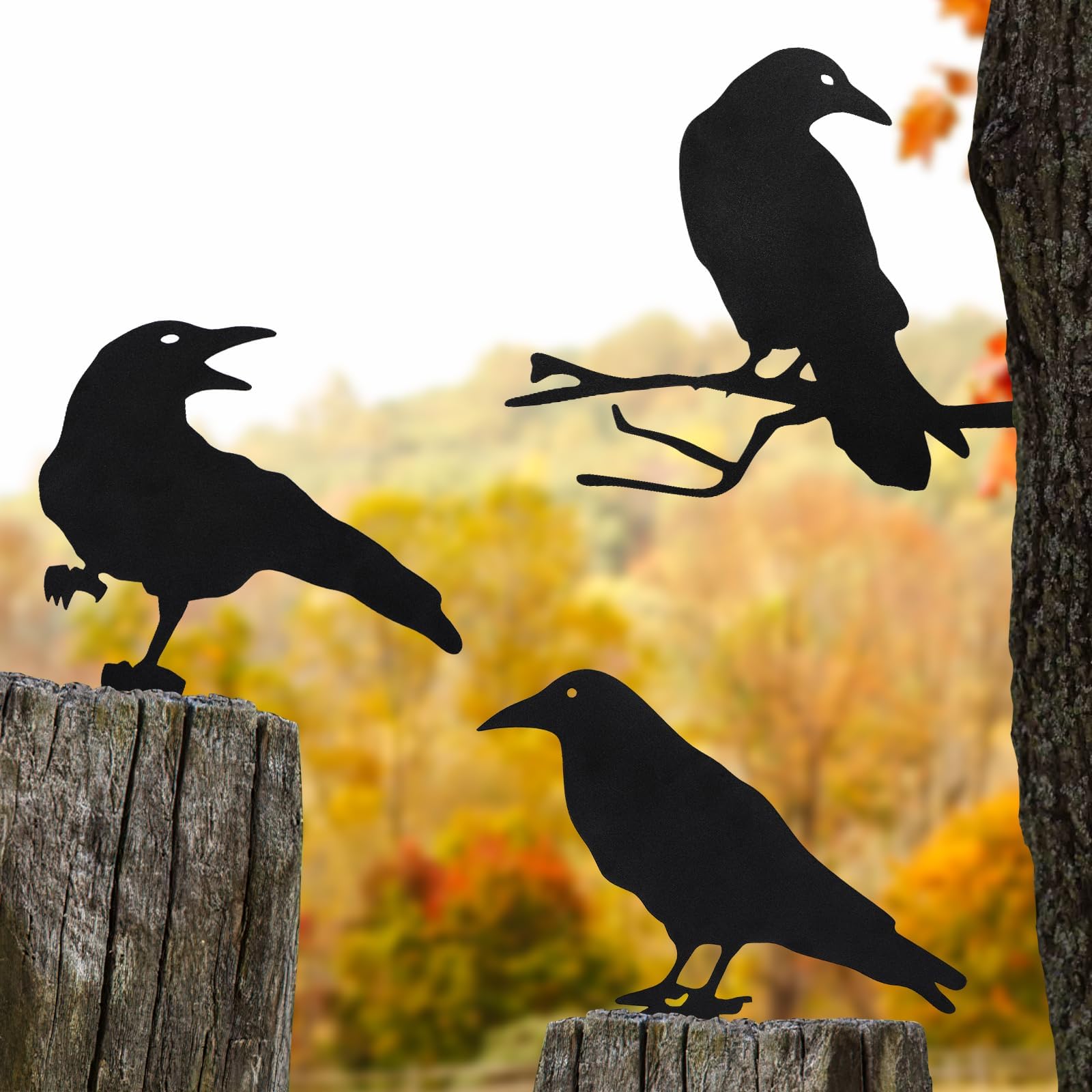 Photo 1 of Qmetalart Raven Halloween Decor Outdoor Crow Yard Art Exterior Rustic Metal Black Bird Mini Garden Ornament Fence Topper Gothic Home Decor Outdoor Gate Post Sculpture Witchy Gift