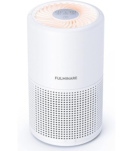Amazon.com: Hilti HEPA Replacement Main Filter - 203879 : Home