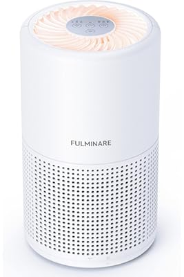 FULMINARE H13 HEPA Air Purifier 1