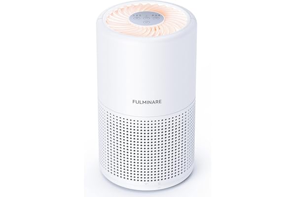 FULMINARE H13 HEPA Air Purifier 1