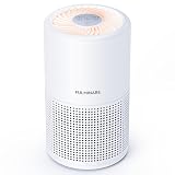 Air Purifiers for Bedroom, FULMINARE H13 True HEPA Air Filter, Quiet Air Cleaner With Night Light, Portable Small Air Purifier for Home, Office, Living Room