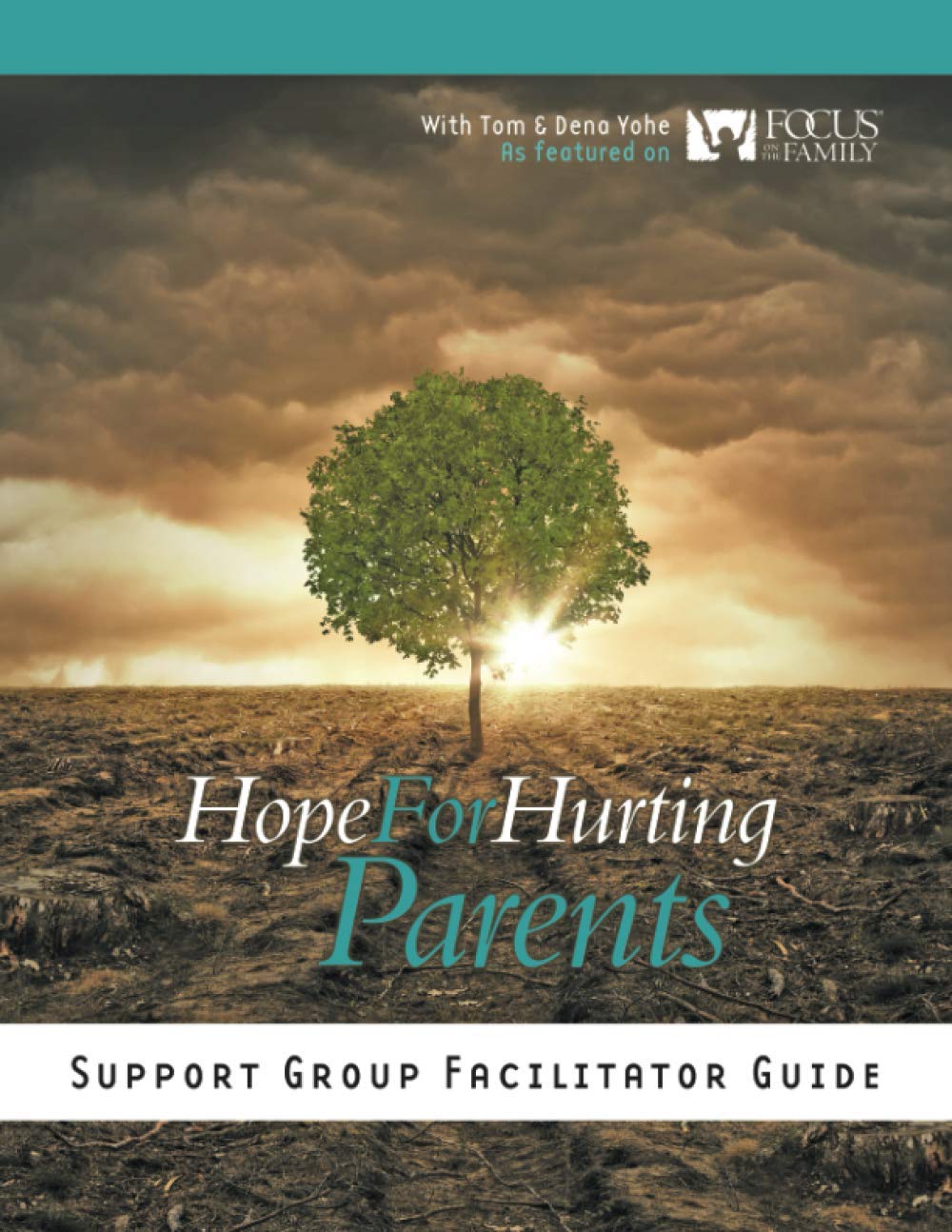 Hope For Hurting Parents Support Group Facilitator Guide: Yohe, Tom And  Dena: 9781945975622: Amazon.com: Books
