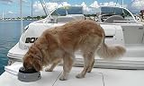 Road Refresher Prestige Non Spill Pet Water Bowl Pink S view 2