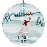 Santa Hat and Scarf Welcome Winter Yellow Crested