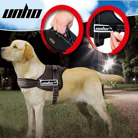 harness for small dogs amazon