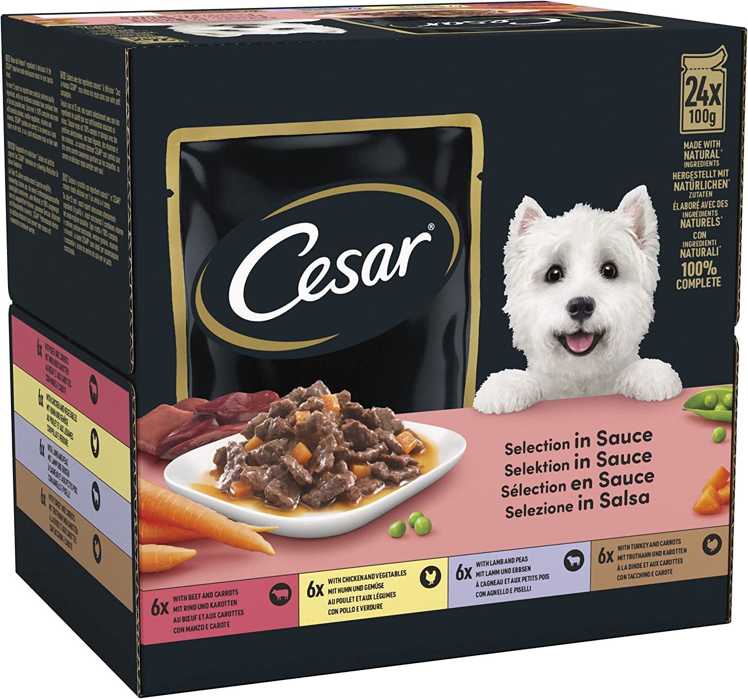 CESAR Deliciously Fresh Dog Pouches Favourites in Sauce 48x100g