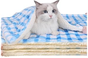 CLAYCLAY Ultra Soft Dog Cat Bed Mat with Cute Prints Reversible Fleece Dog Crate Kennel Pad Cozy Washable Thickened Hamster Guinea Pig Bed Pet Bed Mat for Small Animals (Blue,19 x 14 Inches)