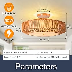Zswanbei D19.7 Inch Boho Chandelier Lighting Flush