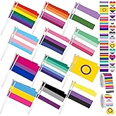 Windkream 108 Pcs Progress Pride Flags Mini Gay Stick Flags and 90 Pcs Rainbow Temporary Tattoos LGBT Accessories Gay Pride Tattoos Body Stickers for Asexual Bisexual Pansexual Decoration Festivals