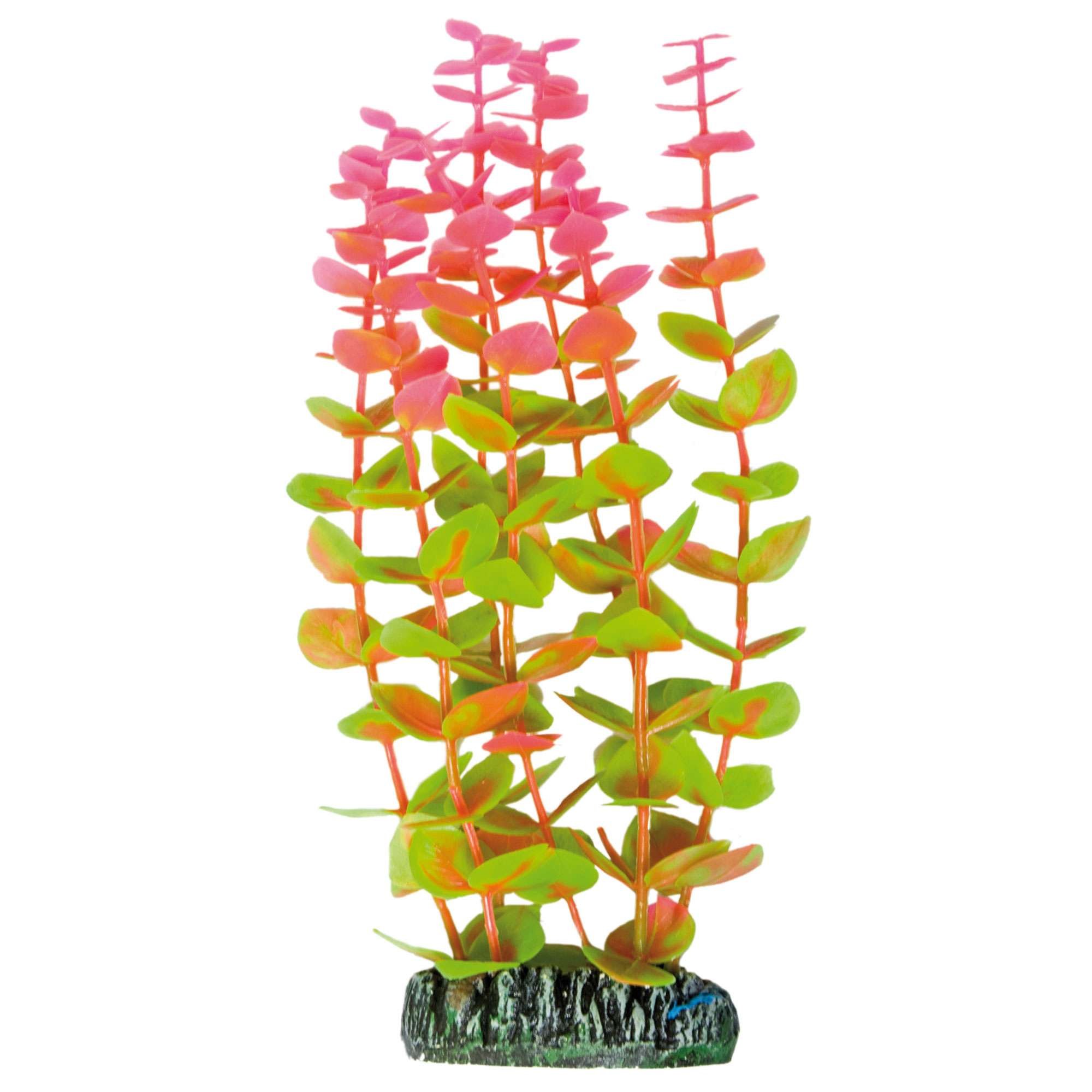 ICA AP1004 Aquatic Plants Plastic Alternanthera