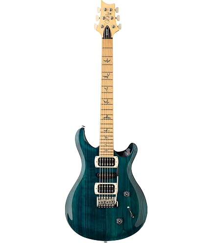 Amazon.com: PRS Paul Reed Smith 6 String SE Standard 24