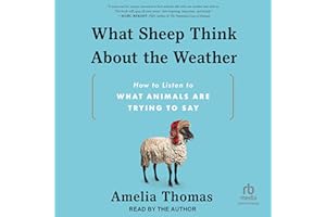 What Sheep Think About the Weather: How to Listen to What Animals Are Trying to Say